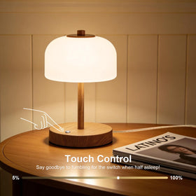 Oneach three-color temperatures lamp adapts from warm to white light