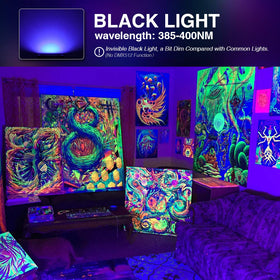 Onforu 38W blacklight plug-in design enables quick indoor or outdoor setup