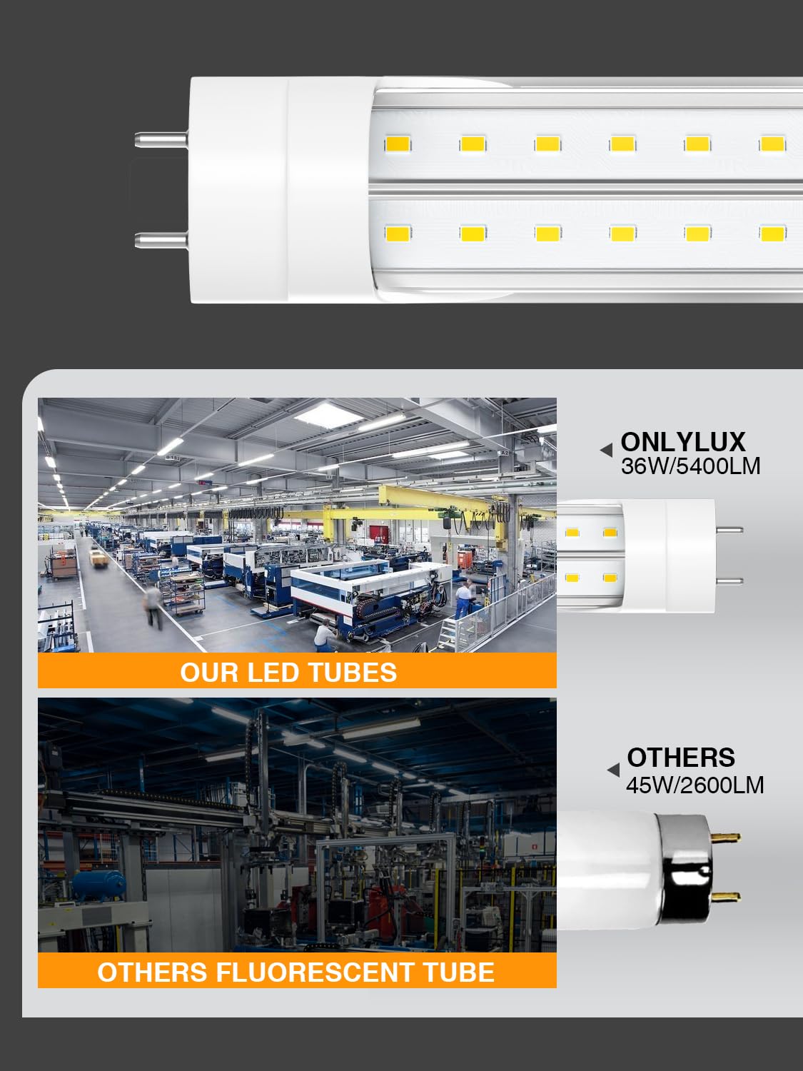 ONLYLUX T8 LEDs show energy efficiency for commercial spaces