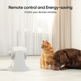 ONVIS Matter over Thread smart plug private local control without cloud