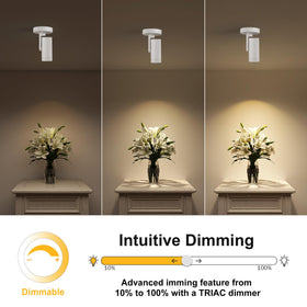 Opulux flicker-free spotlight with CRI 97 for vibrant colors
