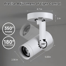 Opulux warm white 3000K light ideal for art and plants