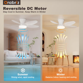 Orabriz ceiling fan suitable for indoor and covered outdoor spaces