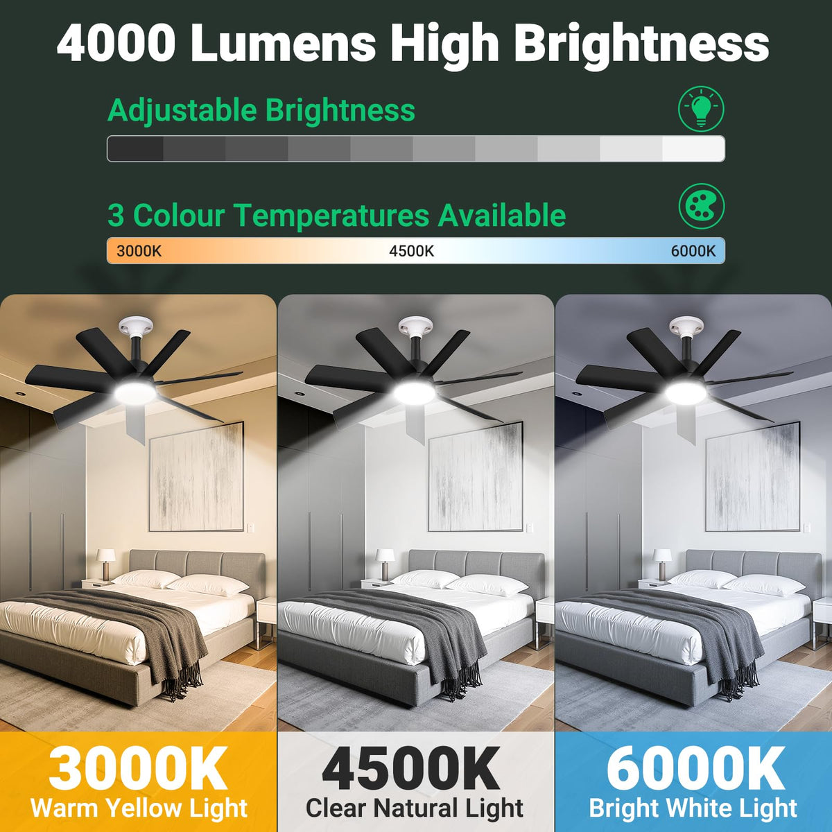 Orbecco remote control enables easy speed and light adjustments from anywhere