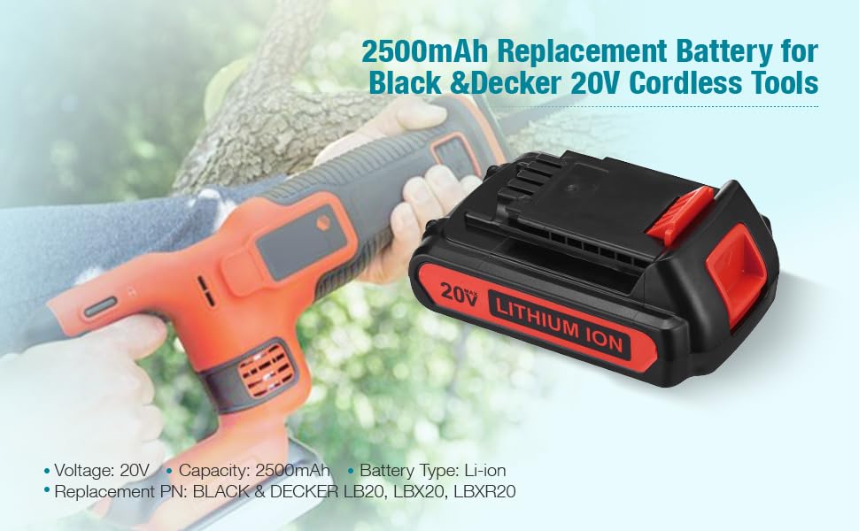 ORHFS LBXR20 charger setup demonstrates safe plug-in across regions.