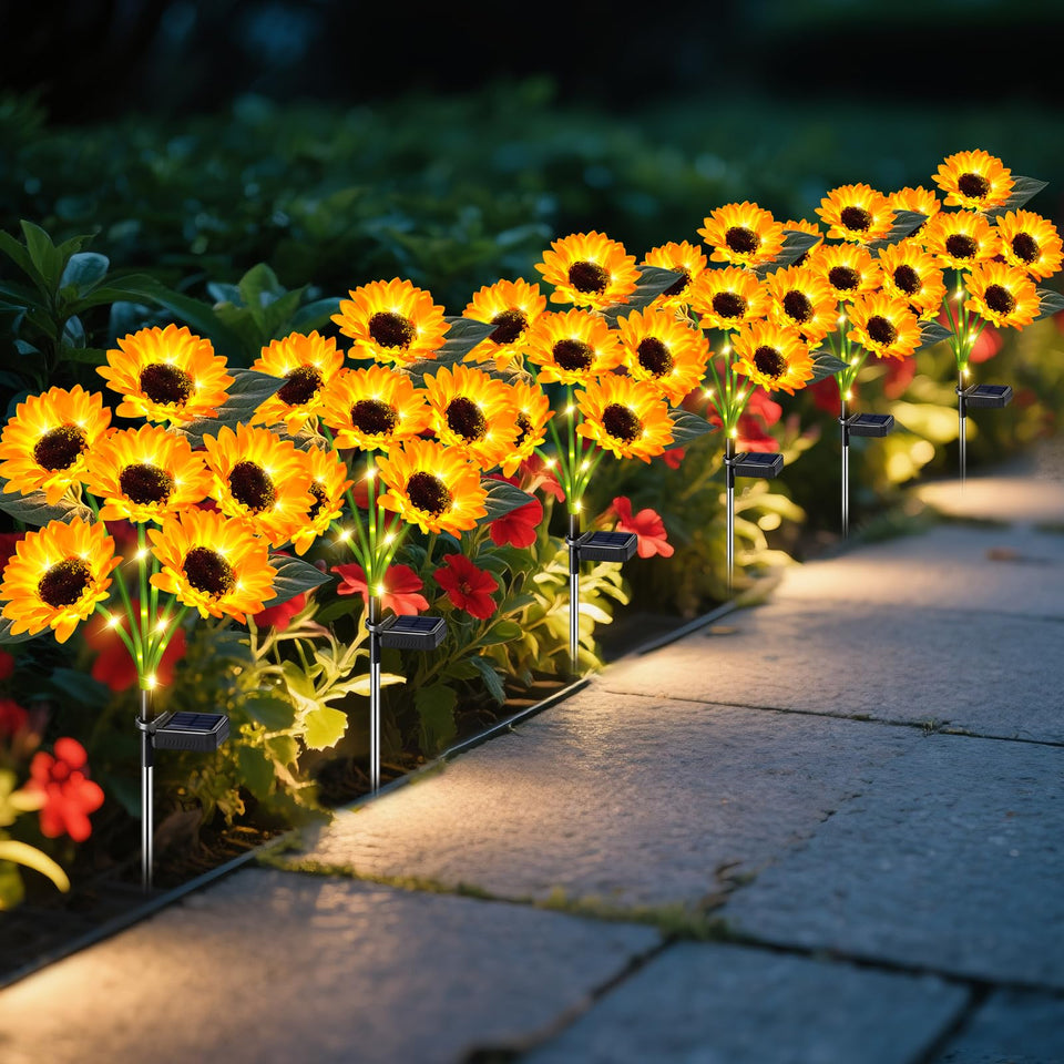 ostritec Sunflower Light closeup petals show vivid bloom for vibrant garden decor.