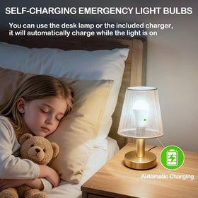 Ostwiki bulb displaying three brightness levels for varying needs
