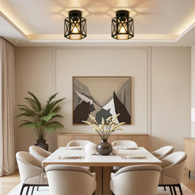 OTeedo industrial black ceiling light pairs with modern decor