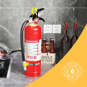 Ougist extinguisher mounted in car for convenient emergency access.