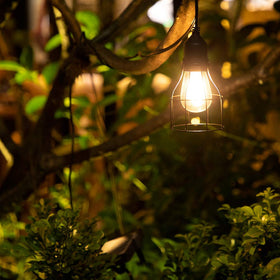 Ousam Led includes spare bulb and mounting hardware for quick setup.