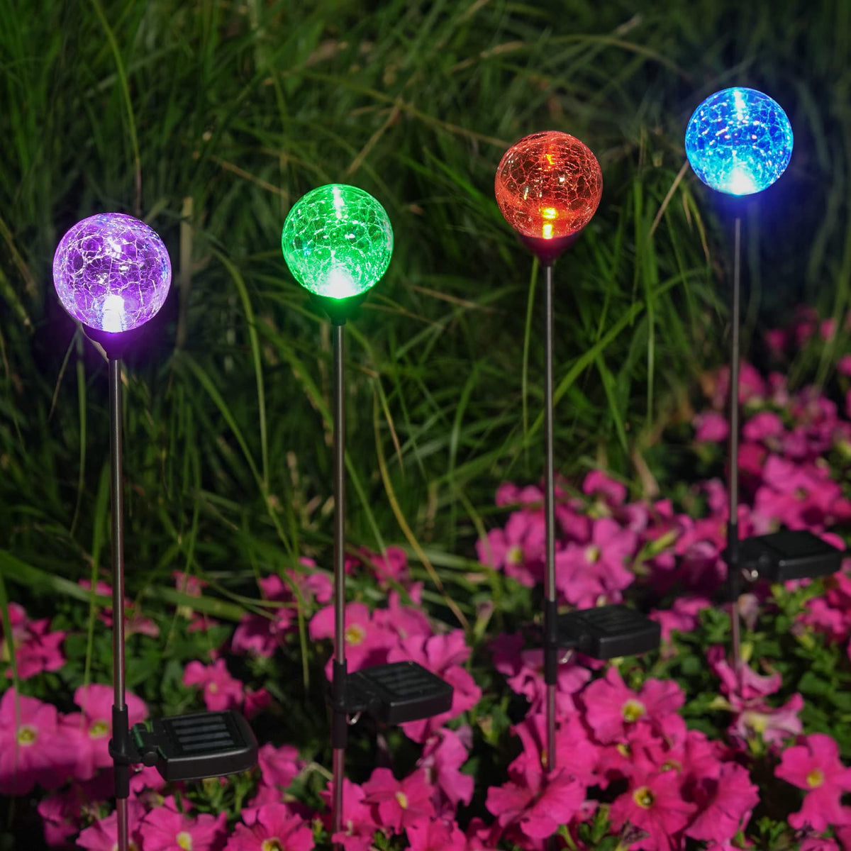 OxyLED multi-color lights change hues to highlight pathways and entries.