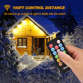Palawell dimmer IP65 waterproof enclosure protects outdoor wiring.