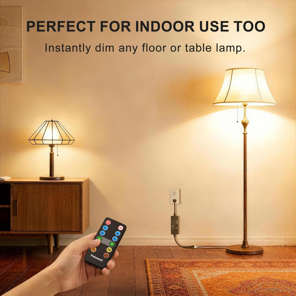 Palawell indoor-outdoor dimmer switch for versatile lighting control