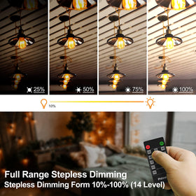 Palawell 560W power handling supports larger LED and incandescent strings safely.