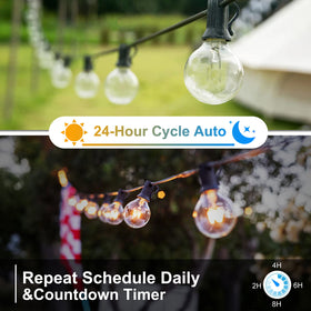 Palawell IP65 waterproof design protects outdoor lighting in all weather.