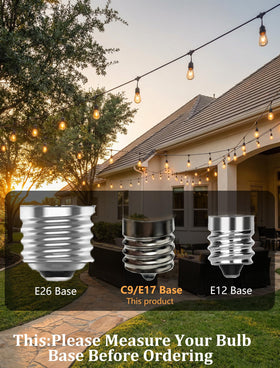Pallerina warm white Edison bulbs brighten living spaces beautifully
