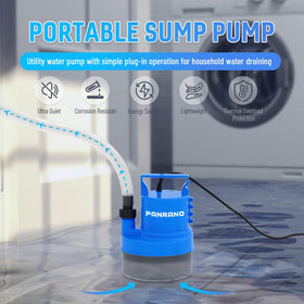 PANRANO pump demonstrates high flow performance for quick water removal