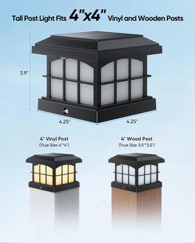 PARTPHONER RGBCW color cycle mode creates dynamic garden mood