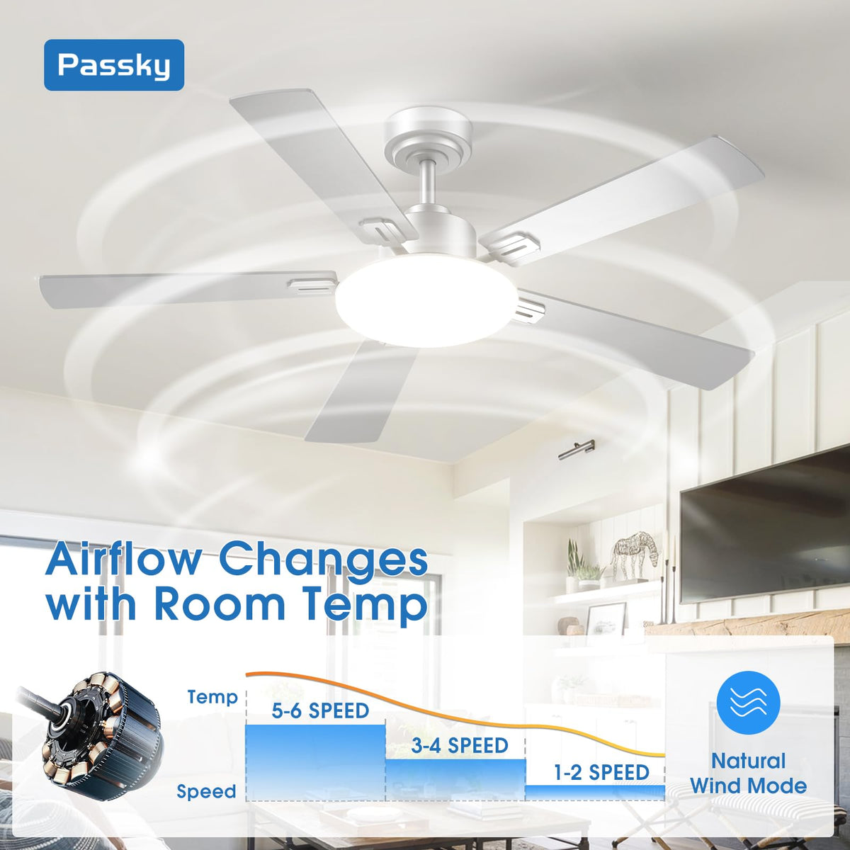 Passky 3CCT color temperatures to customize warm, neutral, or cool ambience.