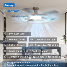 Front view of Passky fan showing dual-color blades for versatile decor.