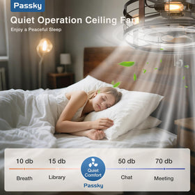 Passky fan ideal for bedroom and living room comfort