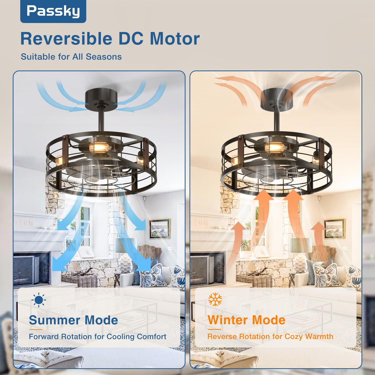 Passky bladeless look suitable for kitchen or dining spaces