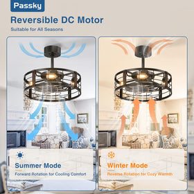 Passky bladeless look suitable for kitchen or dining spaces