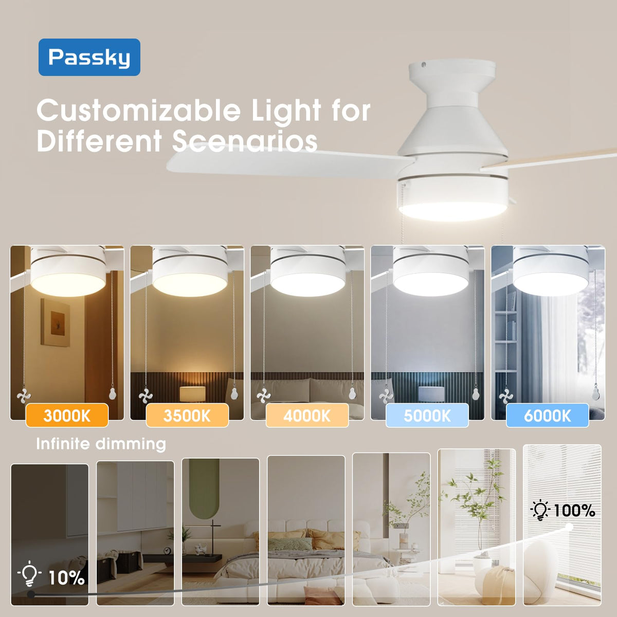 Passky dimmable light with 5 color temperatures supports different activities