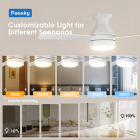 Passky dimmable light with 5 color temperatures supports different activities