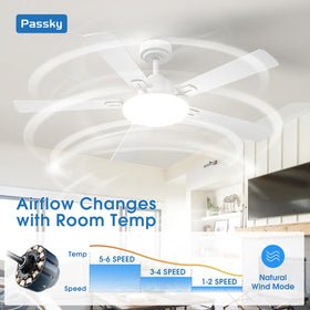 Passky three color temperature options adapt to scenes.