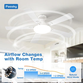 Passky quiet operation ceiling fan running at about 35dB for peaceful rooms.