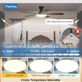 Passky quiet ceiling fan delivers breeze with minimal noise.