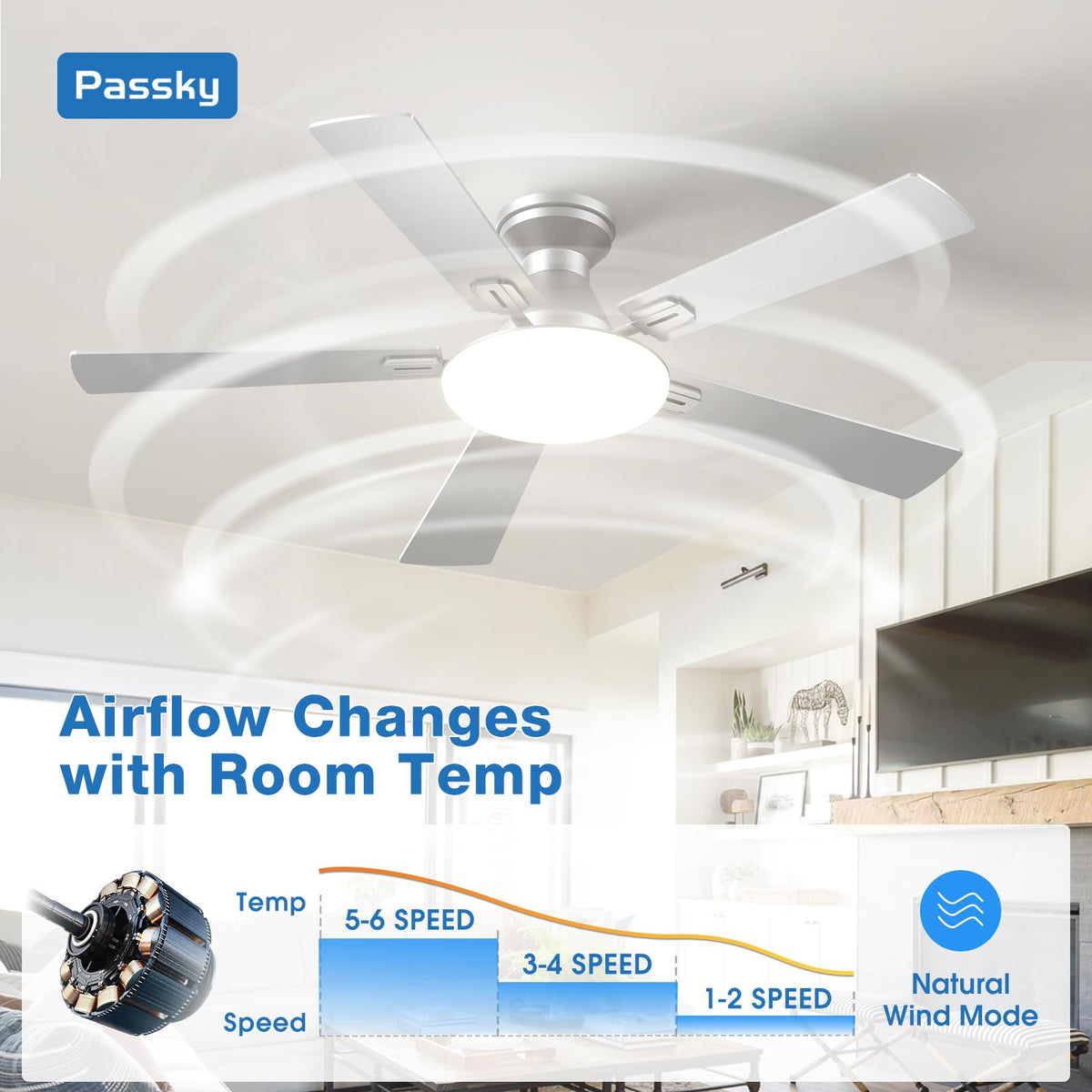 Passky ultra-quiet operation keeps bedrooms calm during rest or work.