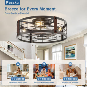 Passky remote-controlled ceiling fan with timer for convenient control.