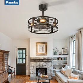 Passky remote with timer and six-speed control