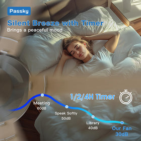 Passky reversible DC motor ceiling fan with dual-direction airflow for seasons.