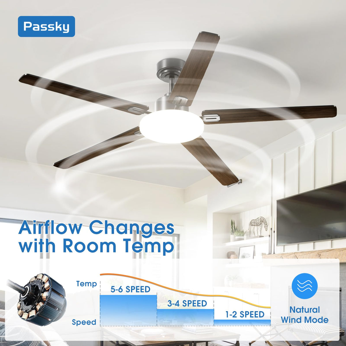 Passky reversible DC motor enables year-round comfort