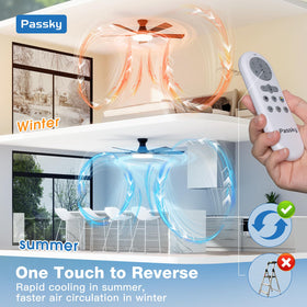 Passky reversible DC motor adjusts wind direction for seasonal comfort.