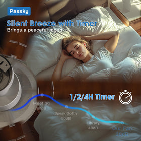 Passky reversible DC motor improves air circulation across seasons.