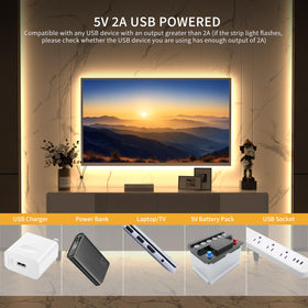 PAUTIX RF remote lets you adjust color and brightness from afar.
