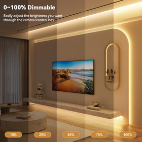 PAUTIX COB LED strip with RF remote control for easy dimming and timing