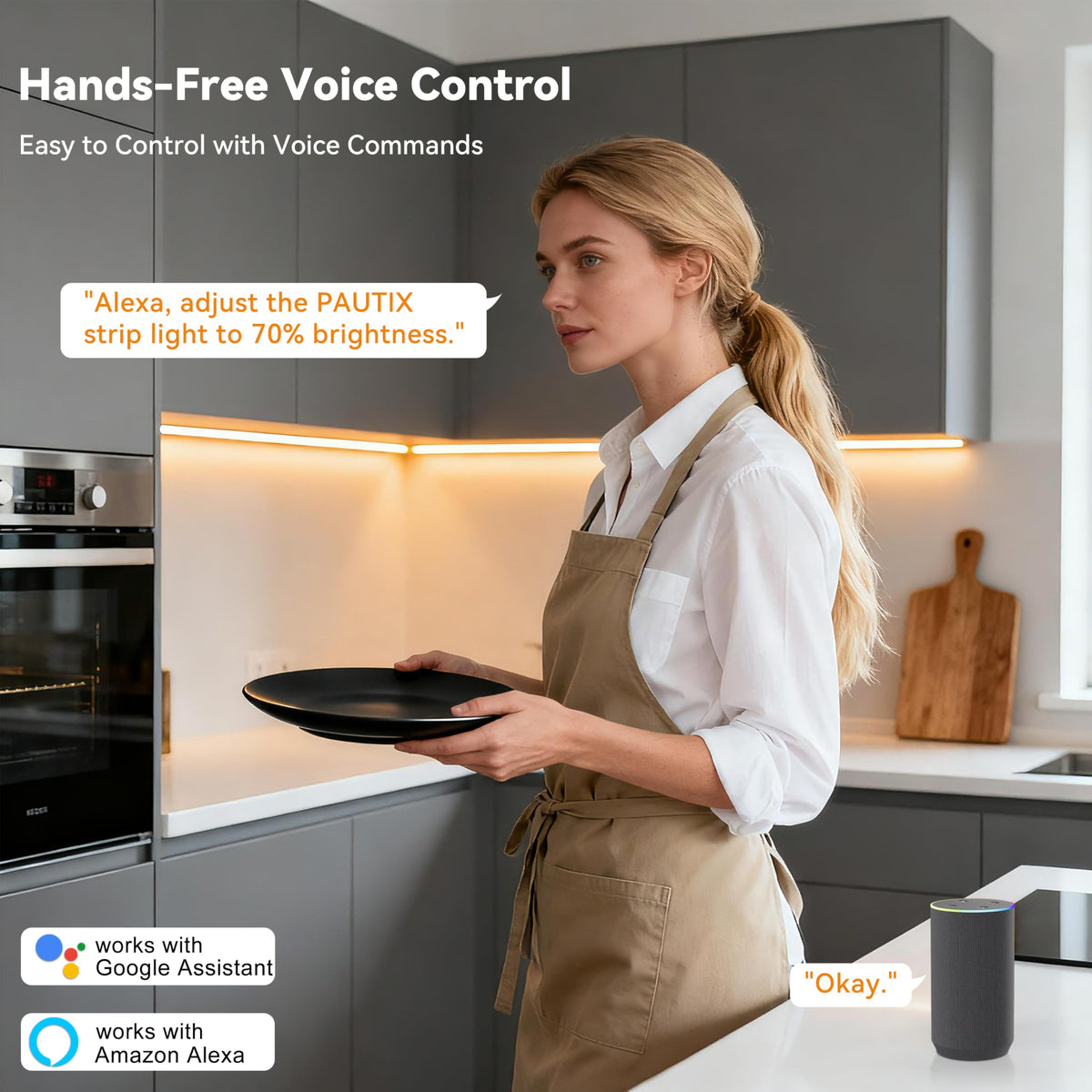 PAUTIX voice control enables Alexa or Google to operate lights