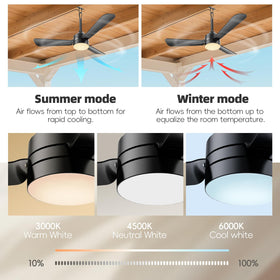 PBLALA LED fan light hanging with hook for easy setup