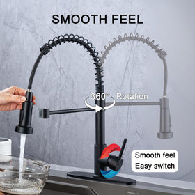 deck plate included for effortless 1- or 3-hole installation of the peicuai-plus faucet