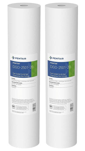 Pentek DGD-2501-20 front view, 1-micron sediment cartridge for whole-house filtration.