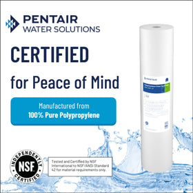 Pentek DGD-2501-20 media detail close-up showing polypropylene purity.