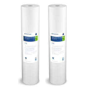 Pentek DGD-5005-20 cartridge in Big Blue housing delivers high dirt-holding capacity.