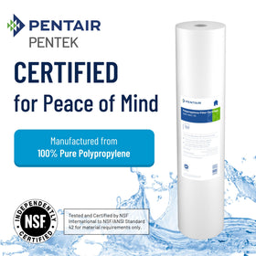 Pentek DGD-5005-20 polypropylene construction ensures chemical resistance