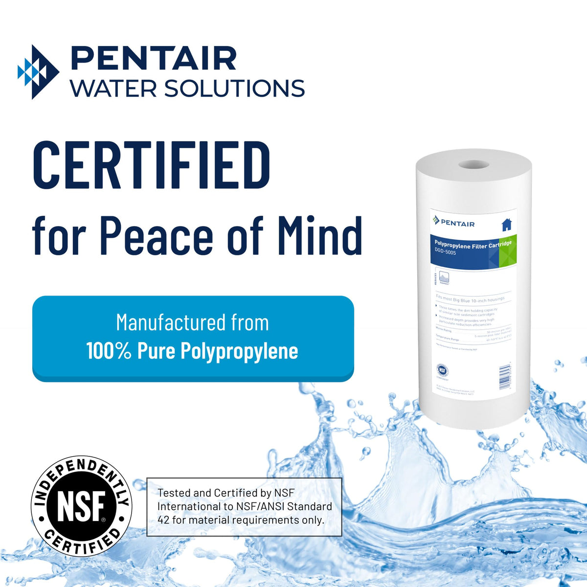 Pentair Pentek DGD-5005 dual-gradient density cartridge for superior sediment capture.