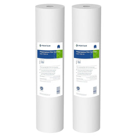 Pentek DGD-7525-20 cartridge in Big Blue housing for clean water and long-lasting filtration.